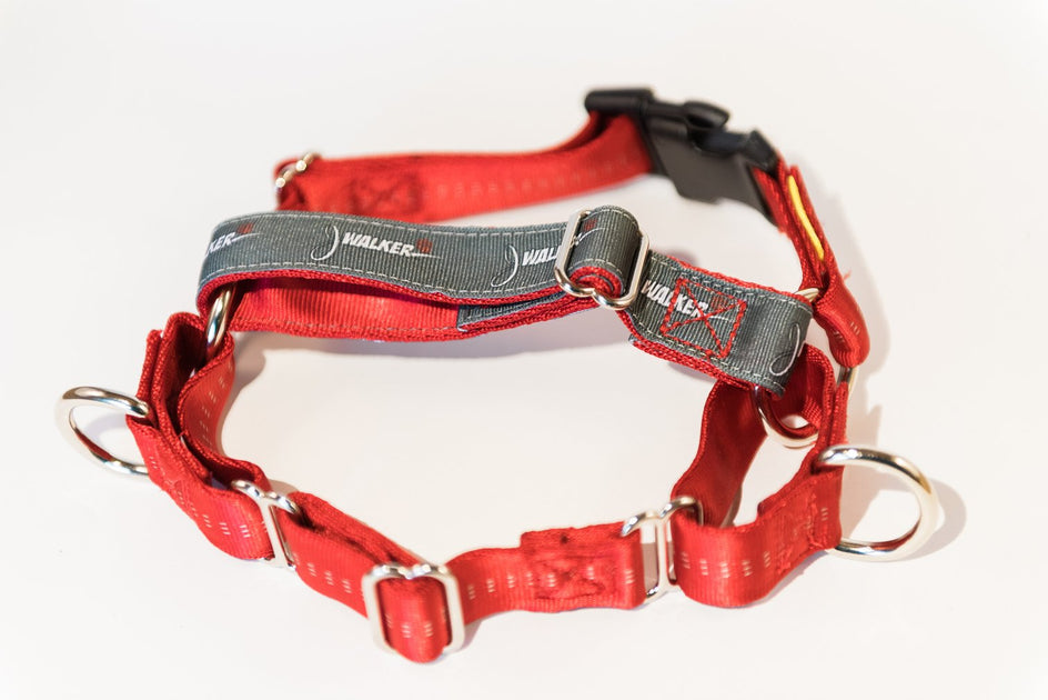 OverHead or StepInto How To Put On A Dog Harness JWalker Dog